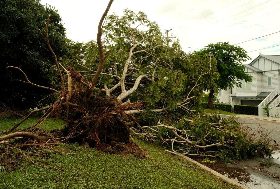 Emergency Storm Damage Tree Care in Asheboro