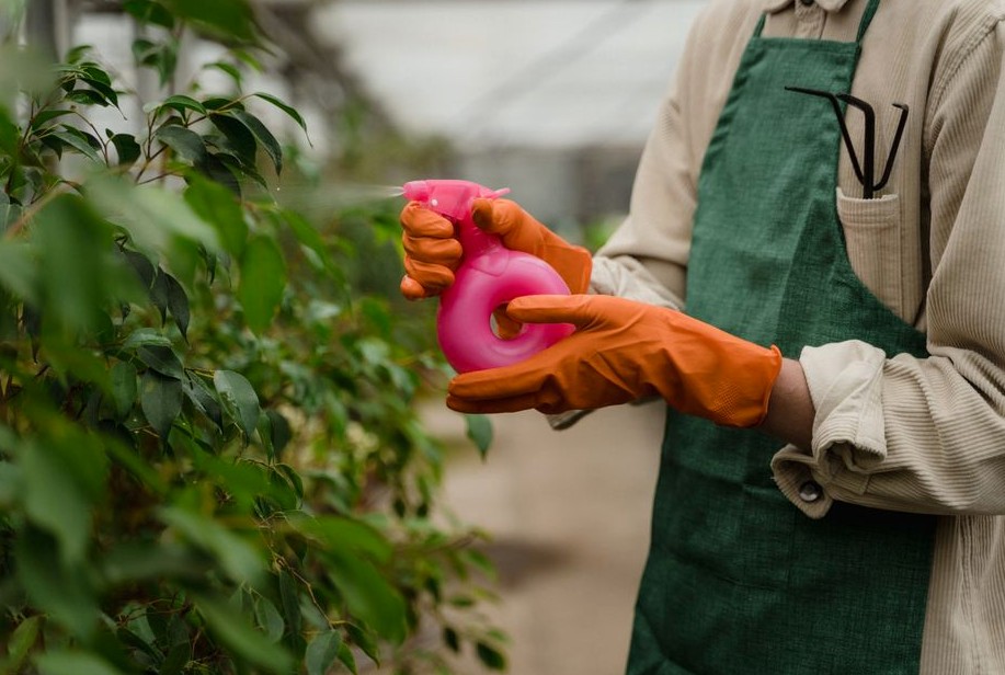 Plant Health Care in Asheboro
