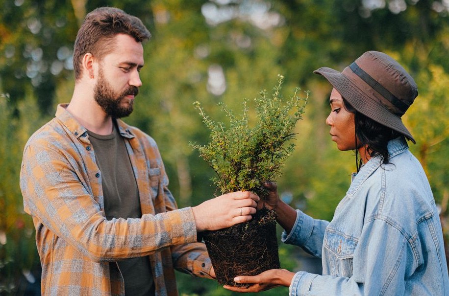 Tree Planting in Asheboro