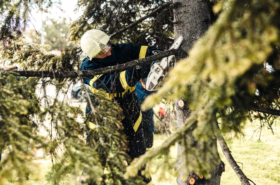 Tree Service in Asheboro